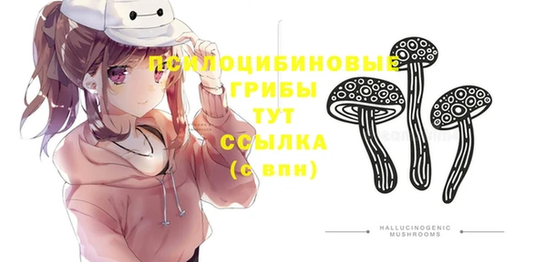 метадон Белокуриха