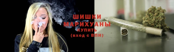прущие грибы Беломорск