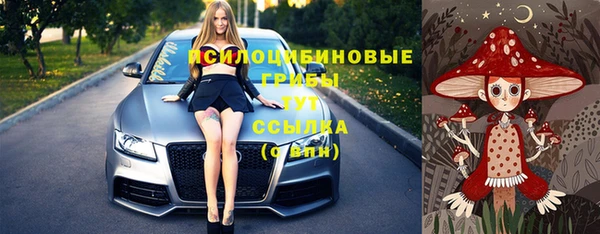 прущие грибы Беломорск