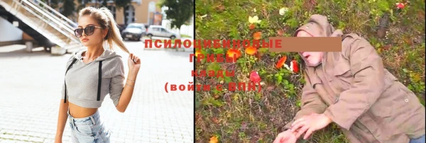 метадон Белокуриха