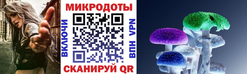 Галлюциногенные грибы MAGIC MUSHROOMS  Макаров 